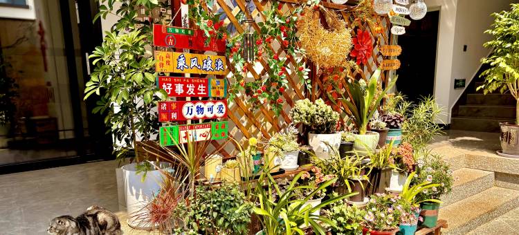 懒度民宿(大理古城店)图片