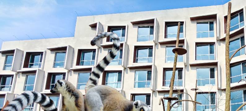 渔田万得澜狐猴度假酒店图片