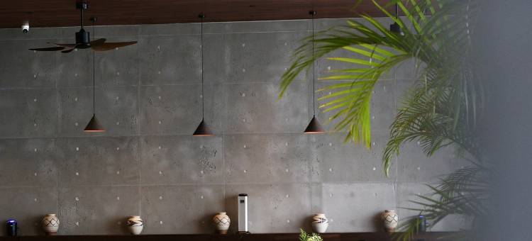 上林一棵松度假村图片