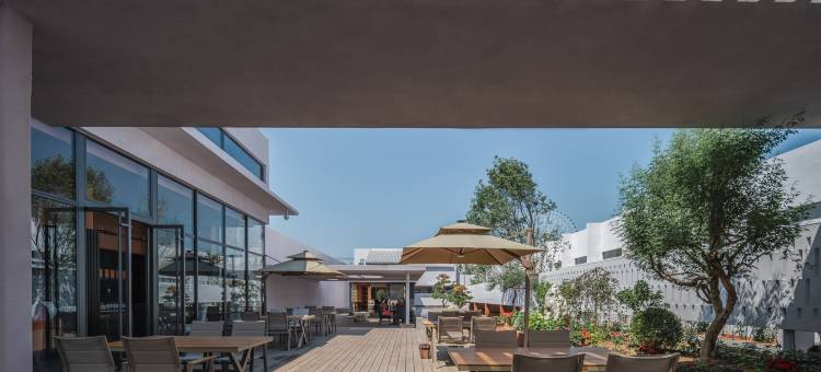 紫房子·Koi Fish美宿图片