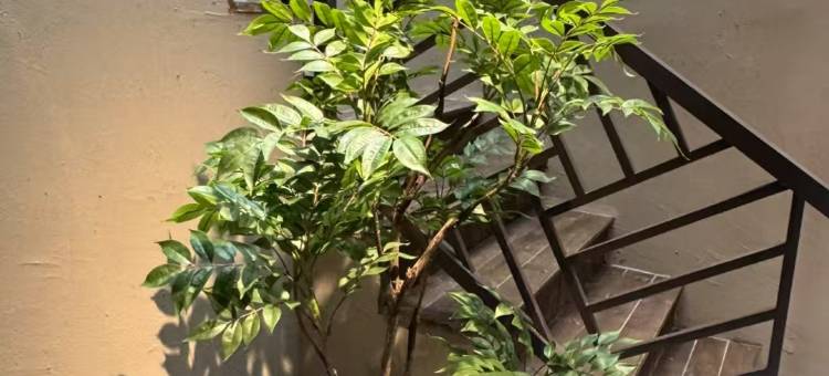 阳光公馆(狮岭国际皮革城店)图片