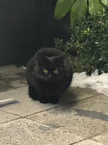 溧阳南府民宿(南山竹海店)图片