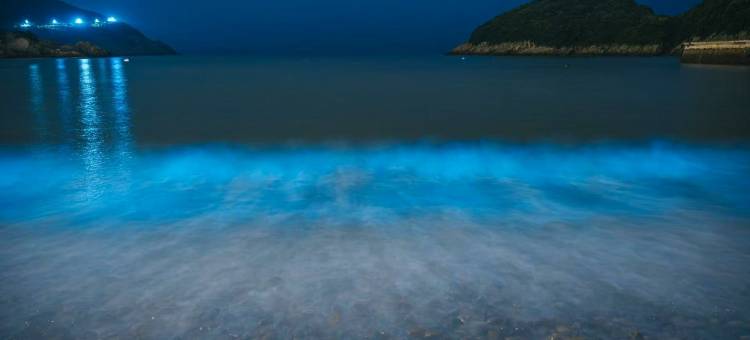 花筑·乌塘潮音民宿(小乌石塘店)图片