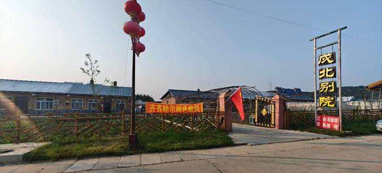 漠河市戍北别院酒店(北极村景区店)图片