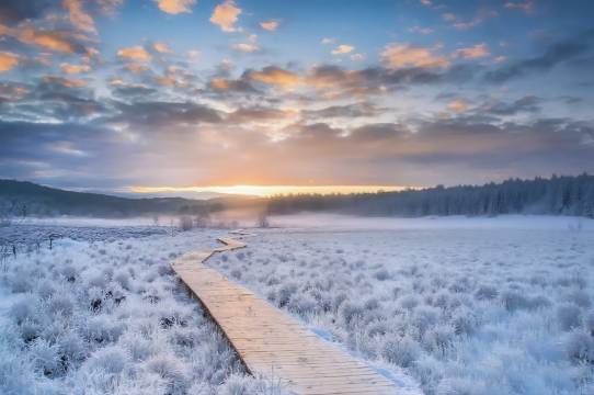 铁力逍遥八仙湖酒店图片