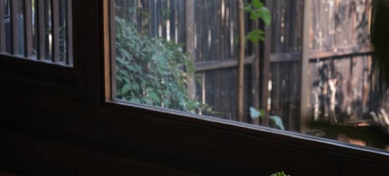 采薇茶茗宿图片