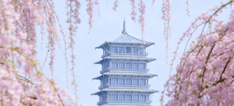 西安浐灞喜来登酒店(务庄地铁站)图片