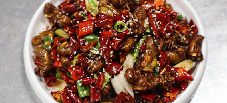 登封禾居民宿(禅宗少林音乐大典店)图片