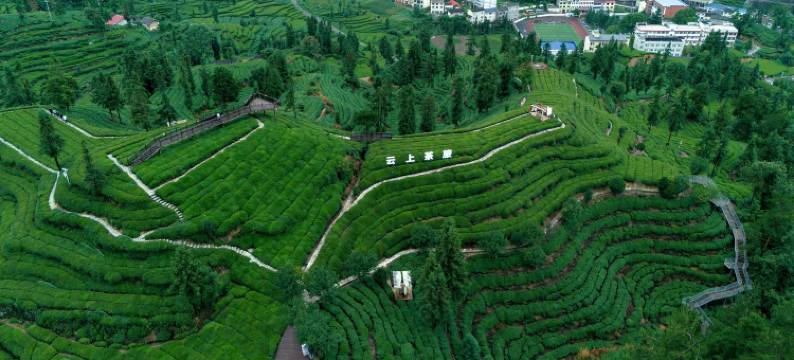 三峡茶旅小镇·千山云舍图片