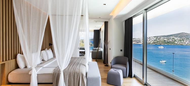 博德鲁姆岬华丽海滩酒店(Cape Bodrum Luxury Hotel & Beach)图片