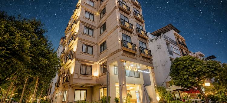 凯丽酒店(西贡会展中心富美兴店)(KELLY Hotel  (SECC Phu My Hung))图片