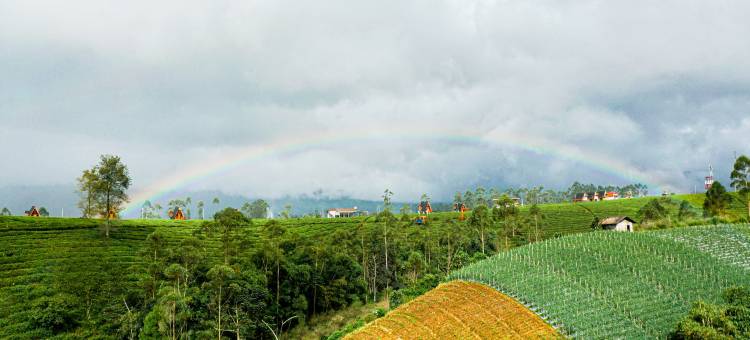 S Tilu Heroy Hill Resort Pangalengan Bandung RedPartner图片