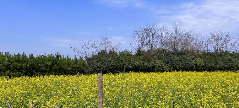 歙县韬庐精舍徽文化精品民宿图片