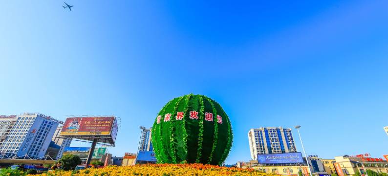 双木林客栈(天门山索道店)图片