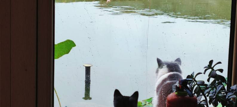 花筑·南京若谷民宿(银杏湖乐园徐家大院店)图片