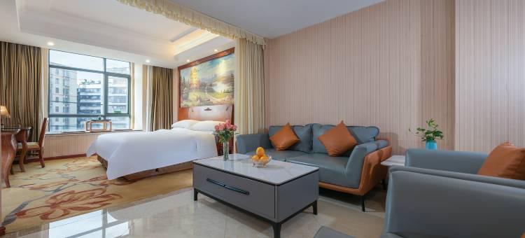 维也纳酒店(普宁环城南路高铁站店)图片