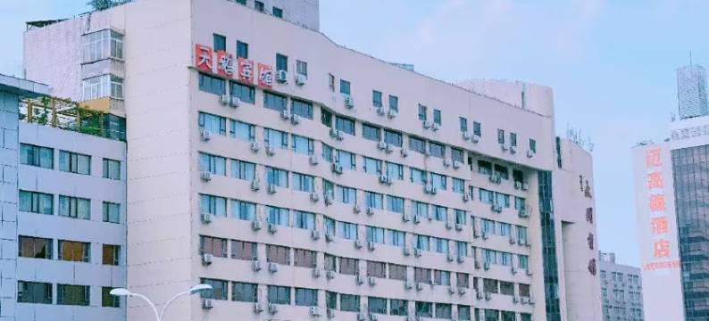 天鹅主题文化宾馆(郑州火车站二七广场店)图片