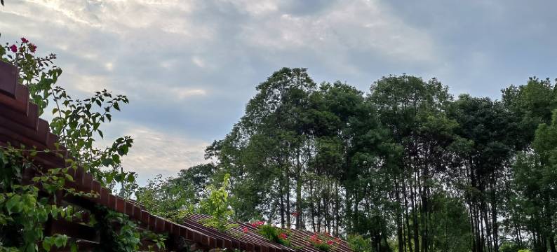 临江仙养生度假酒店图片