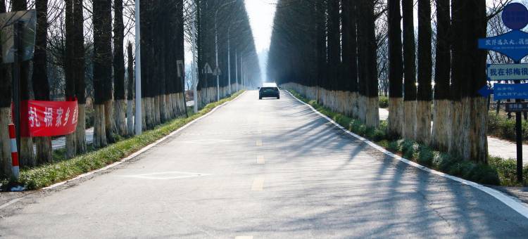 宣城祁梅村康养公社图片