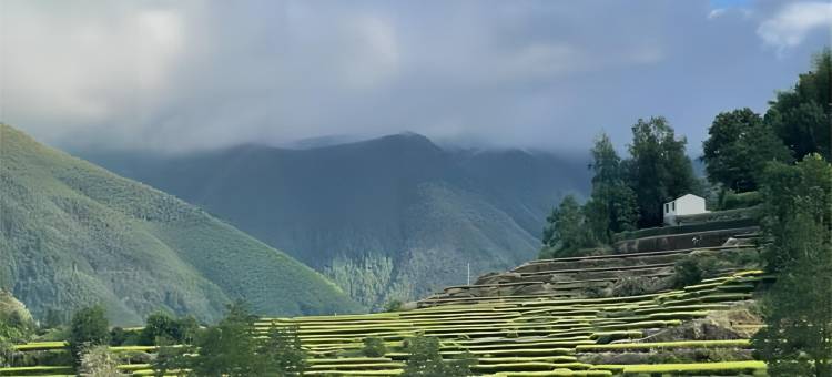 云和梯田归莳民宿图片