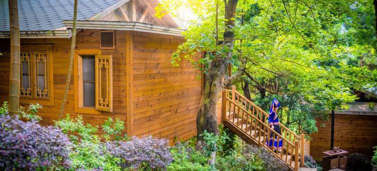 清远金子山森林雪谷壮瑶度假村图片