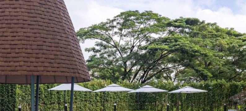 都喜公主-帕塔隆(Dusit Princess Phatthalung)图片