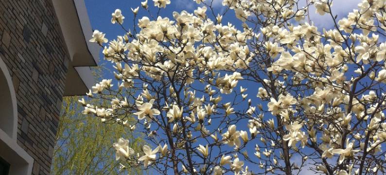 北京世纪金源香山商旅酒店图片