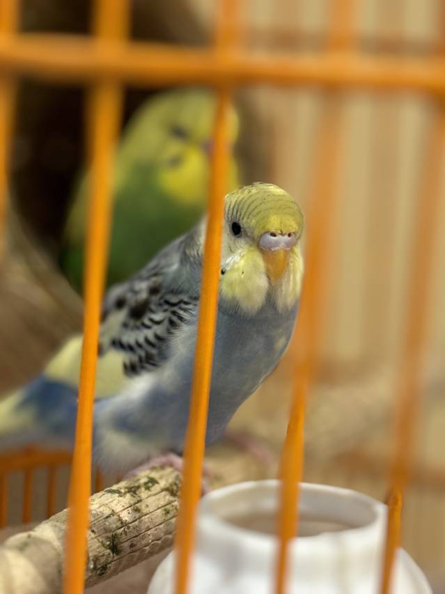 隐栖堂精品酒店(成都春熙路天府广场店)图片