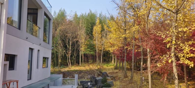 freesia珑羽兰庭图片