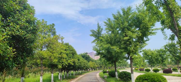 谷城威尔顿酒店(沿河路店)图片