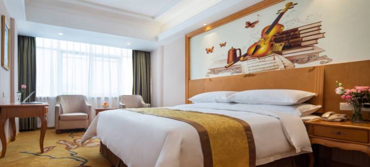 维也纳酒店(惠东华侨城和润步行街店)图片