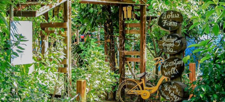 顺化莲花家庭旅馆(Hue Lotus Homestay)图片