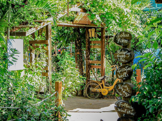 顺化莲花家庭旅馆