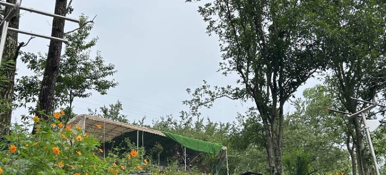 石台孝贤乐园图片