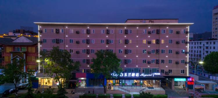 白玉兰酒店(济宁万达广场店)图片