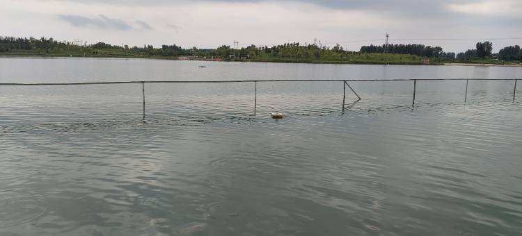 卡尔曼大酒店(平舆上河城店)图片