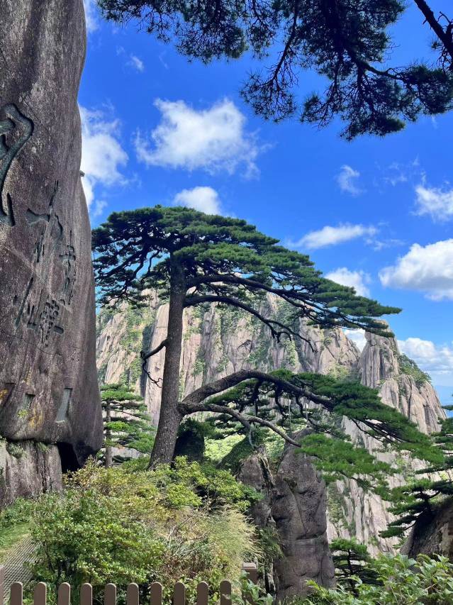 墨韵·华庭History  徽派180°观景设计师轻奢艺术度假艺宿图片