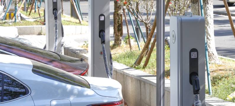 紫晶宾馆(景德镇中国陶瓷博物馆店)图片