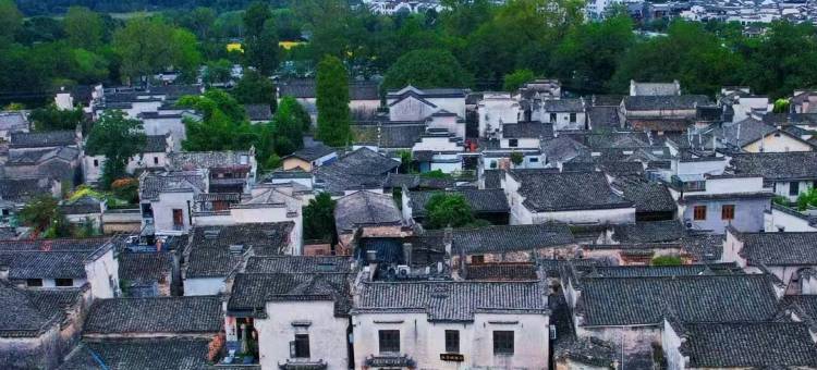 黄山观止园·黄花梨博物馆民宿(西溪南古村落景区店)图片