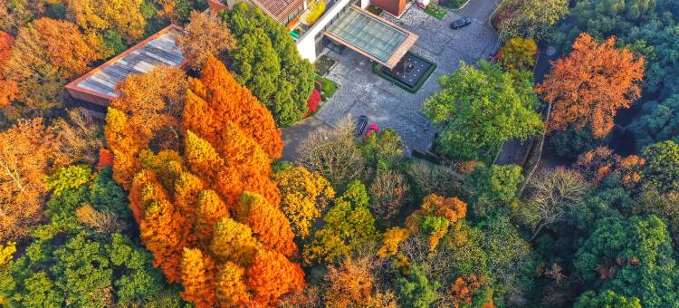 杭州千禧度假酒店图片