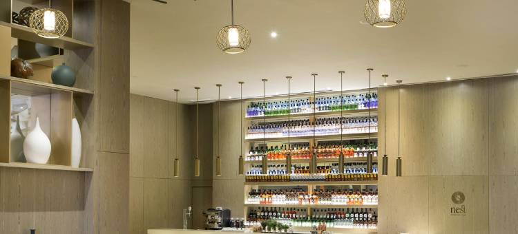 巴瓦罗帕尔马皇家芭拉迪莎酒店(Paradisus Grand Cana)图片