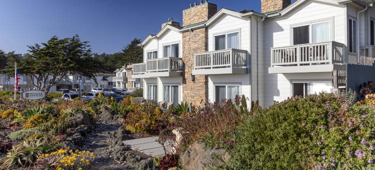 鹈鹕Inn&套房酒店(Pelican Inn & Suites)图片