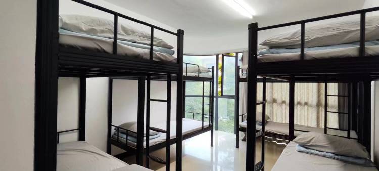 河马青年旅舍图片