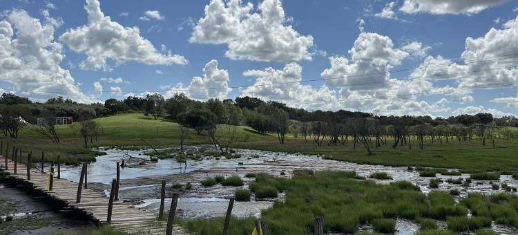 多伦大酒店图片