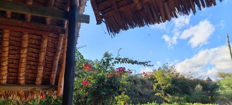 安博塞利AA小屋酒店(AA Lodge Amboseli)图片