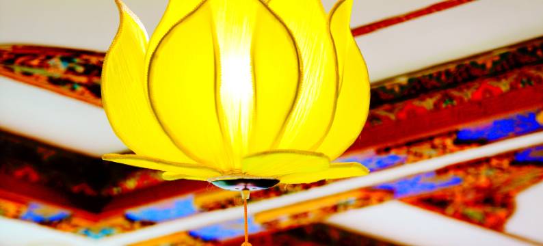 紫宸·无相悦途观景供氧民宿(拉萨布达拉宫店)图片