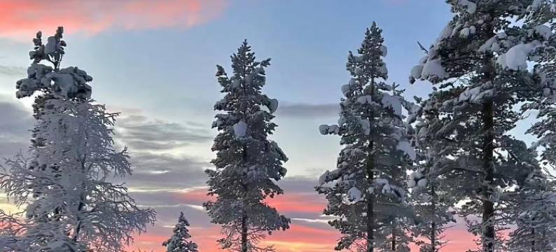 南来北顺民宿(亚布力南站店)图片