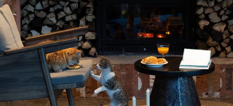 宝霖Pauline｜山野别院·玉龙雪山度假民宿图片