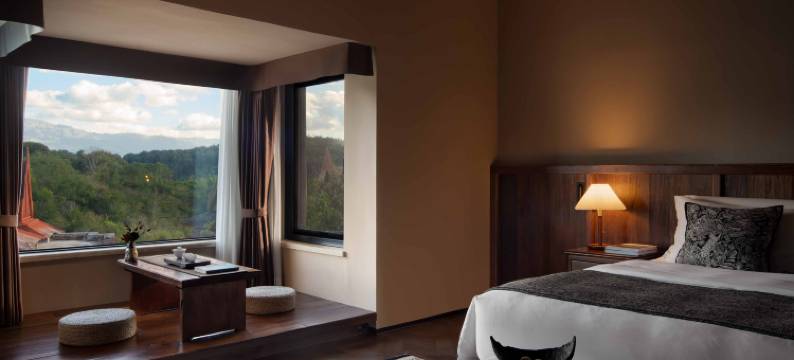 璞隅温泉私汤民宿(西双版纳勐海勐巴拉国际度假区店)图片