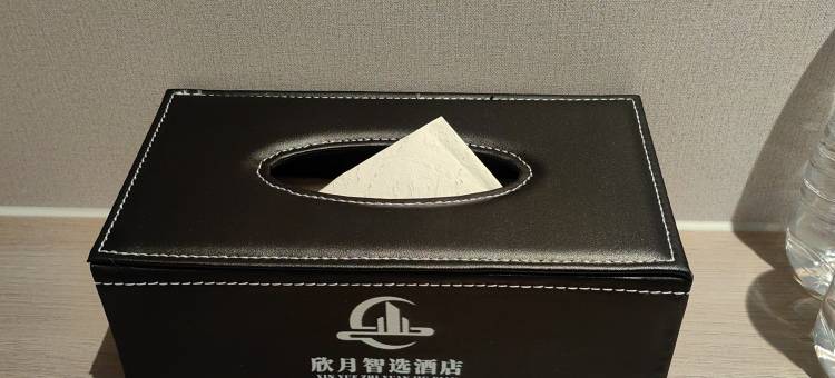 欣月智选酒店(旌德高铁站政务中心店)图片